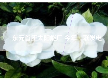 東元首座太陽能廠 今年併聯(lián)發(fā)電