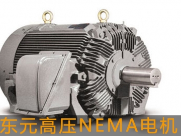 東元高壓電機(jī)NEMA電機(jī)