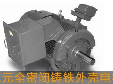 東元高壓電機全密閉鑄鐵外殼電機