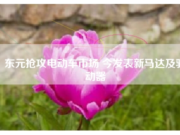 東元搶攻電動車市場 今發(fā)表新馬達(dá)及驅(qū)動器