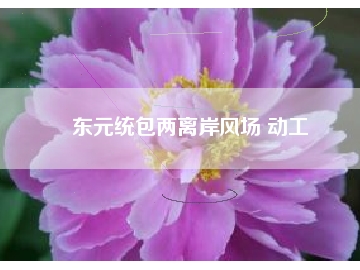 東元統(tǒng)包兩離岸風(fēng)場 動工