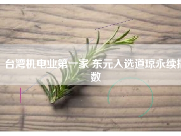 臺灣機(jī)電業(yè)第一家 東元入選道瓊永續(xù)指數(shù)