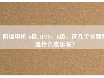 防爆電機 4極, IP55，F(xiàn)級，這幾個參數(shù)都是什么意思呢？