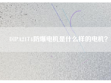 DIPA21T4防爆電機(jī)是什么樣的電機(jī)？