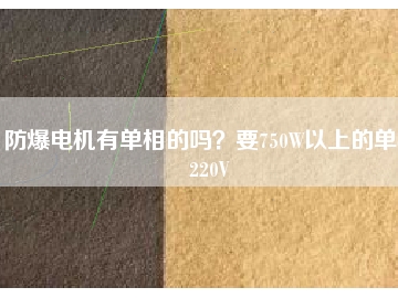 防爆電機(jī)有單相的嗎？要750W以上的單相220V