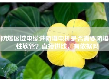 防爆區(qū)域電纜進防爆電機是否需要防爆撓性軟管？直接進線，有依據(jù)嗎