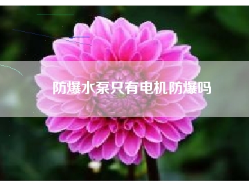 防爆水泵只有電機防爆嗎