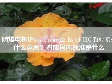 防爆電機(jī)IP65， zone 22 Ex td IIIC T197℃是什么意思？對應(yīng)國內(nèi)標(biāo)準(zhǔn)是什么
