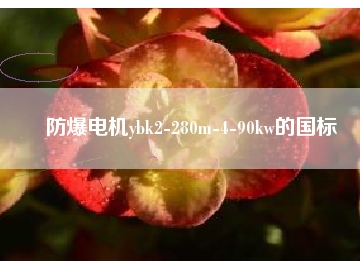 防爆電機ybk2-280m-4-90kw的國標(biāo)
