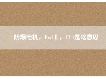 防爆電機，ExdⅡ，CT4是啥意思