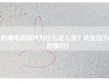 防爆電動(dòng)葫蘆為什么這么貴？就是因?yàn)槟芊辣瑔幔?></div>
                            <div   id=