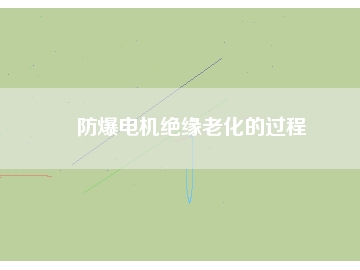 防爆電機(jī)絕緣老化的過(guò)程