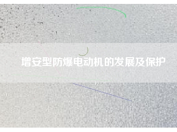 增安型防爆電動(dòng)機(jī)的發(fā)展及保護(hù)