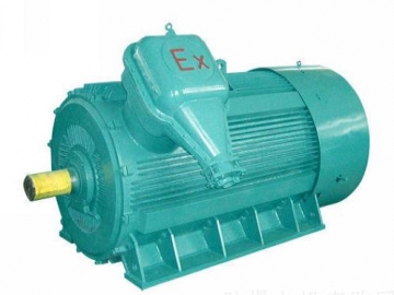 防爆電機(jī)如何出現(xiàn)掃膛、振動(dòng)、軸承過熱要怎么處理