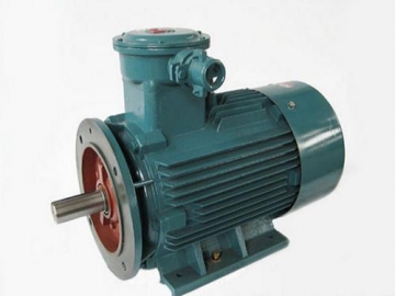 防爆電機驗收時除了銘牌外，還要注意哪些？