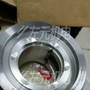 EFZLB 11-110,EFZLB 9-80電機軸瓦，油封及油環(huán)應用于化工行業(yè)電機