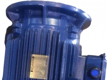 AEUV5N超超高效三相異步電機（MODEL:TEV5）