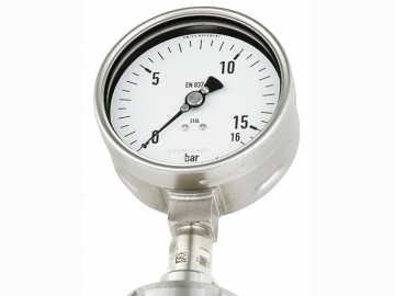 DSS19F符合EN837-1標(biāo)準(zhǔn)的壓力表，帶隔膜密封