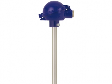 TR81測(cè)量廢氣溫度的熱電阻溫度計(jì)