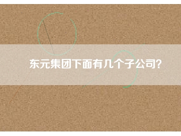 東元集團下面有幾個子公司？