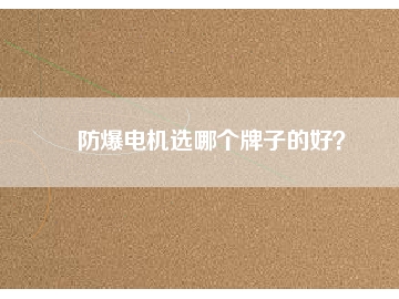 防爆電機選哪個牌子的好？