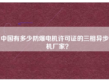 中國(guó)有多少防爆電機(jī)許可證的三相異步電機(jī)廠家？