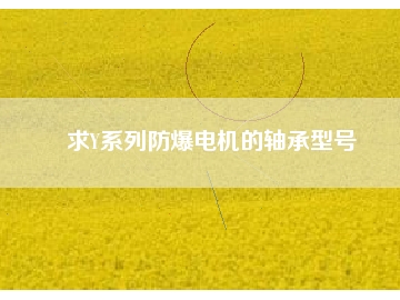 求Y系列防爆電機(jī)的軸承型號(hào)