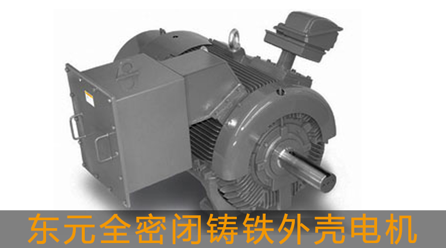 東元高壓電機(jī)全密閉鑄鐵外殼電機(jī)