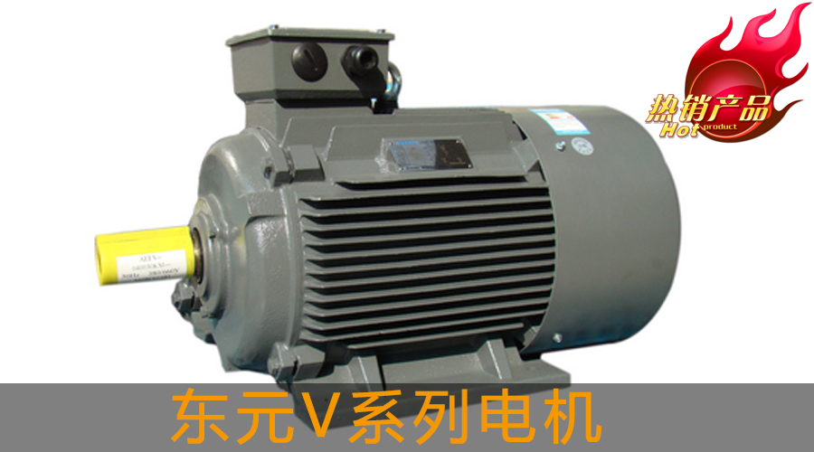 東元V系列電機(jī)
