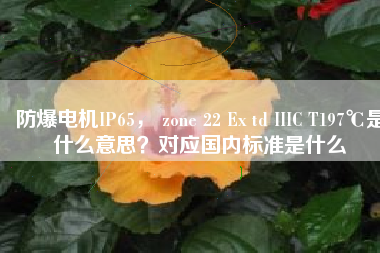 防爆電機IP65， zone 22 Ex td IIIC T197℃是什么意思？對應(yīng)國內(nèi)標準是什么