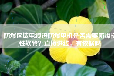 防爆區(qū)域電纜進(jìn)防爆電機(jī)是否需要防爆撓性軟管？直接進(jìn)線，有依據(jù)嗎