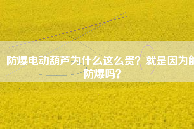 防爆電動(dòng)葫蘆為什么這么貴？就是因?yàn)槟芊辣瑔幔? title=