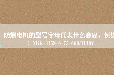 防爆電機的型號字母代表什么意思，例如：YBK-315S-6-75-660/1140V