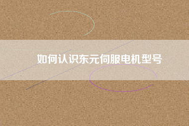 如何認(rèn)識(shí)東元伺服電機(jī)型號