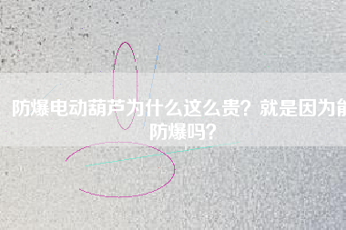 防爆電動(dòng)葫蘆為什么這么貴？就是因?yàn)槟芊辣瑔幔? title=