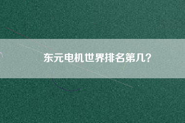 東元電機(jī)世界排名第幾？
