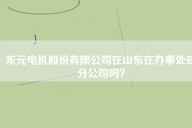 東元電機股份有限公司在山東在辦事處或分公司嗎？