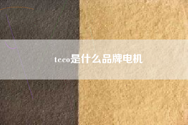 teco是什么品牌電機(jī)