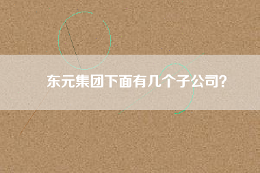 東元集團(tuán)下面有幾個(gè)子公司？