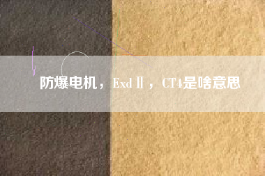 防爆電機(jī)，ExdⅡ，CT4是啥意思