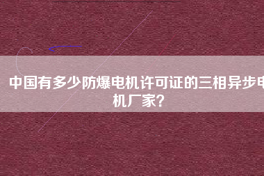 中國有多少防爆電機許可證的三相異步電機廠家？