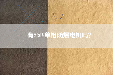有220V單相防爆電機嗎？