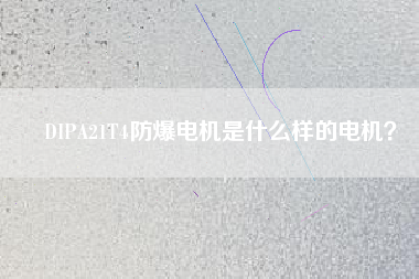 DIPA21T4防爆電機是什么樣的電機？