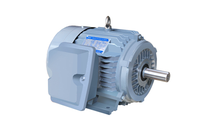 NE系列高效高轉(zhuǎn)矩三相異步電動機